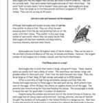 10 3Rd Grade Informational Text Worksheets Grade Printable Sheets