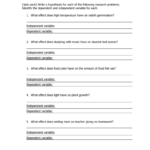 32 Writing A Hypothesis Worksheet Free Worksheet Spreadsheet