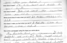 5Th Grade Essay Writing Worksheets Fifth How To Write A Db excel