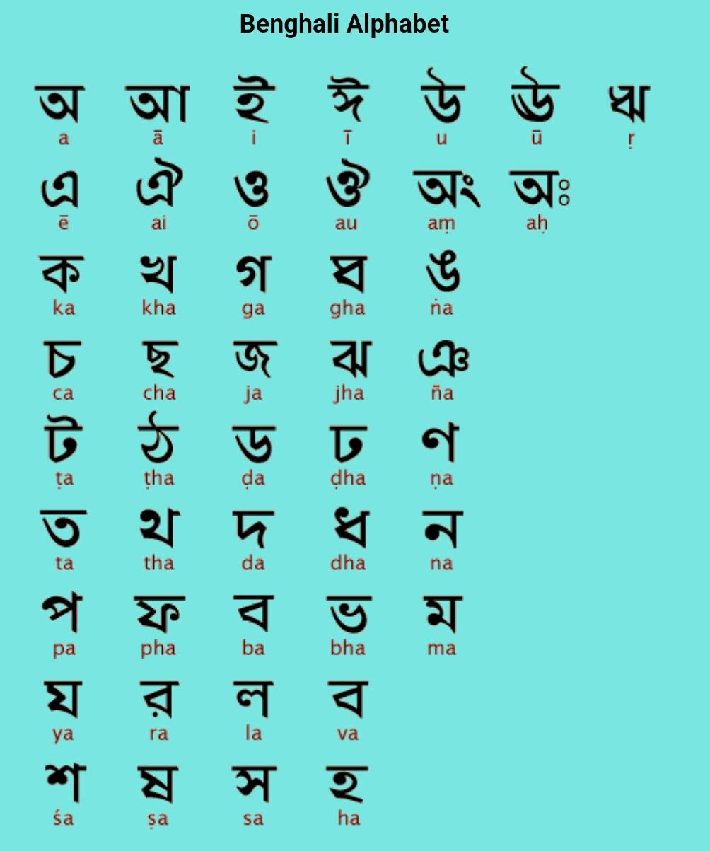 Bengali Alphabets Alphabet Writing Practice Alphabet Writing 
