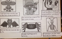 Chalk Talk A Kindergarten Blog Writing Captions