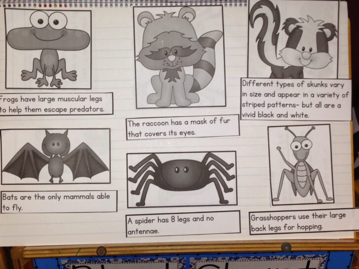 Writing Captions For Pictures Worksheets