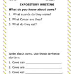 Expository Writing Interactive Worksheet