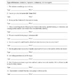 Four Types Of Sentences Worksheet Preview