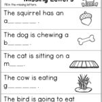 Free Reading And Writing Practice Writing Practice 1st Grade Writing