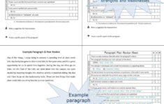 Paragraph Peer And Self Review Worksheets Sample Review Included