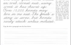 Pentime Cursive Grade 5 Additional Photo inside Page Cursive