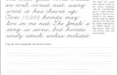Pentime Cursive Grade 5 Pentime Publishers