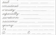 Pentime Cursive Grade 5 Pentime Publishers