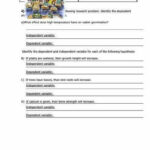 Practice Writing A Hypothesis Worksheet