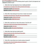 Practice Writing Hypothesis Worksheet Answers
