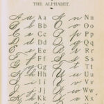 Typography Alphabet School Primer Lettering