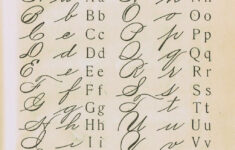 Typography Alphabet School Primer Lettering