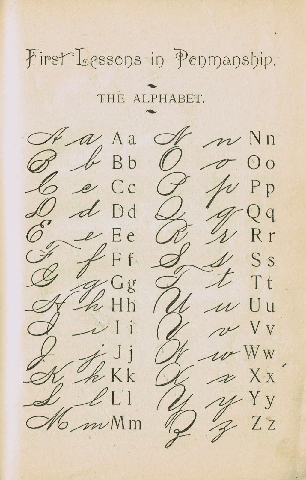 Typography Alphabet School Primer Lettering