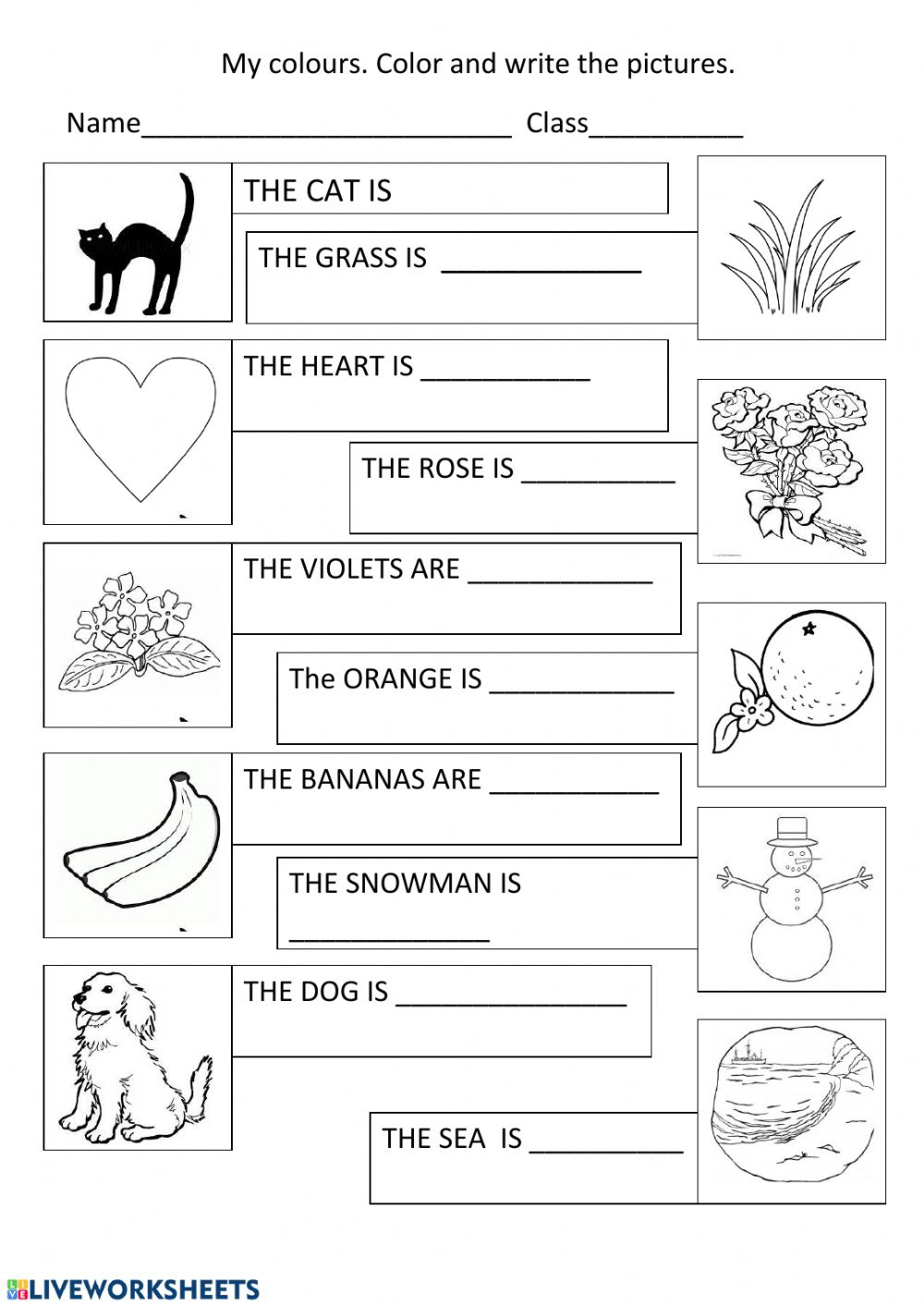 Write The Colors Worksheet