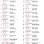 Writing Ionic Formulas Worksheet Answers